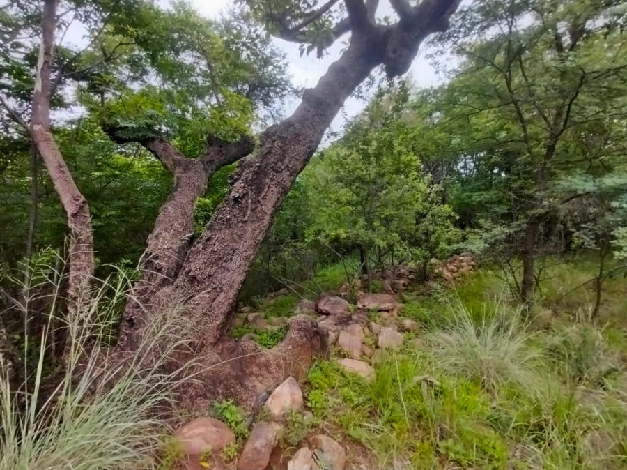 Commercial Property for Sale in Buffelsfontein A H North West